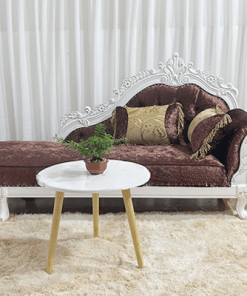 Ghe-Sofa-Thu-Gian-Thiet-Ke-Co-Dien-Dep-DCT-TG06